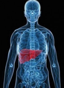Celiac Disease and Non-Alcoholic Fatty Liver Disease